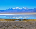 Atacama Andina